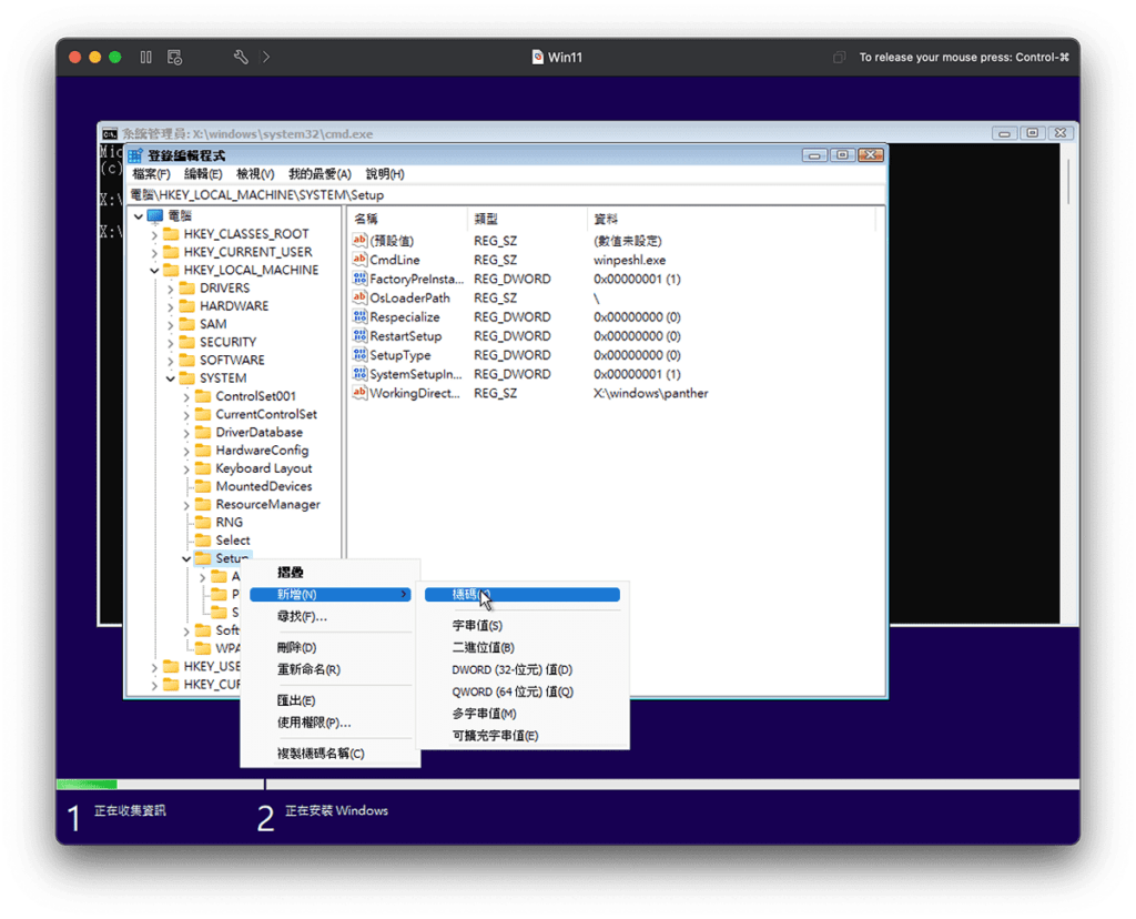 攻城濕不說的秘密 - Windows 11 安裝過程匯入登錄檔